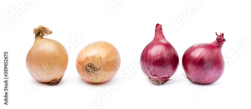 Fresh onion isolated on a white background
