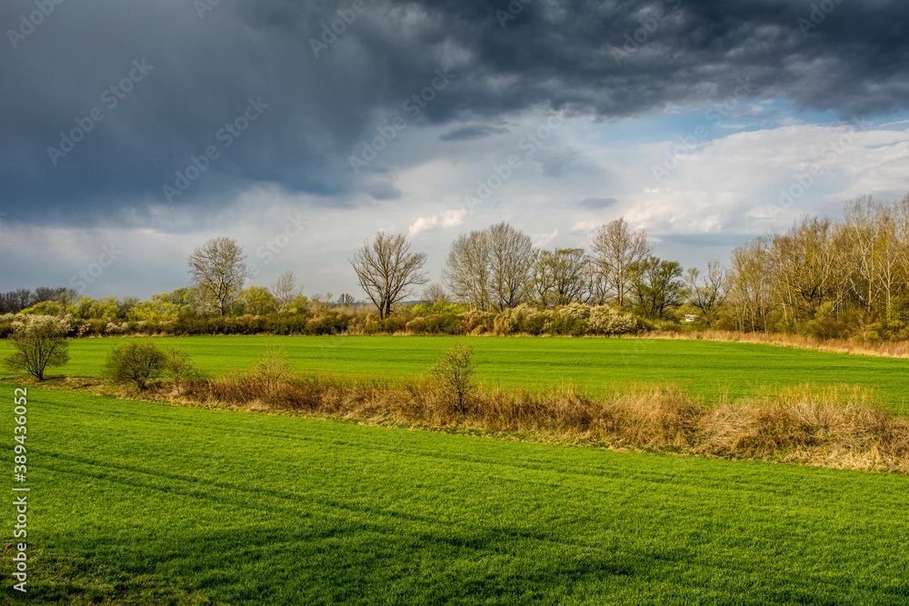 Fototapeta premium pola, krajobraz, droga, niebo, zieleń, lato, rolnictwa, blękit, kraj, horyzont, chmura, kraina, droga, chmura, farma, roślin, nasłoneczniony