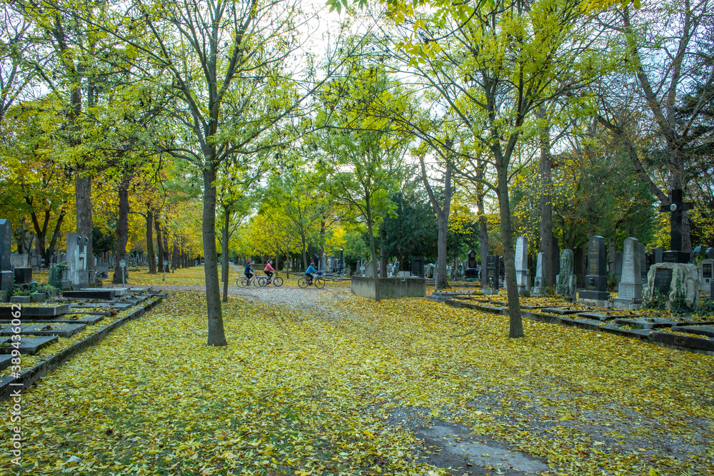 Radfahrer in Herbst am Wiener Zentralfriedhof