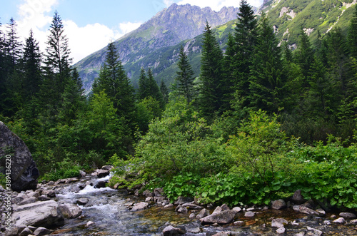 Poland Polska Tatry 