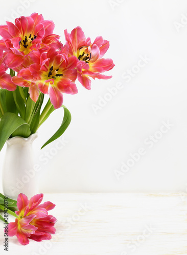 Bouquet of coral tulip flowers in a vase isolated on white