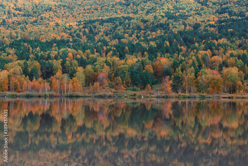 Autumn reflections of the M...