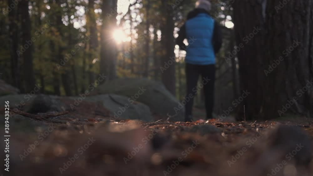 Lady walking through forest path Lady walking through forest path