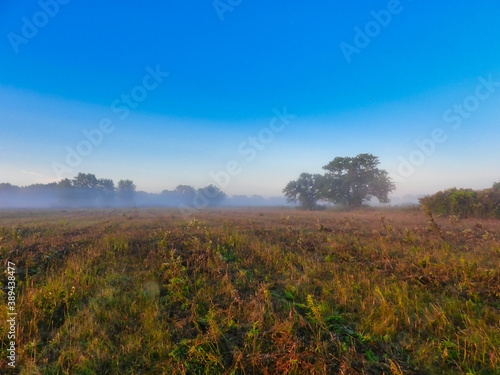 Recently Mowed Prairie at Morning Sunrise with Blue Clear Sky with a Touch of Pink with Some Mist Fog in Landscape Scenic View