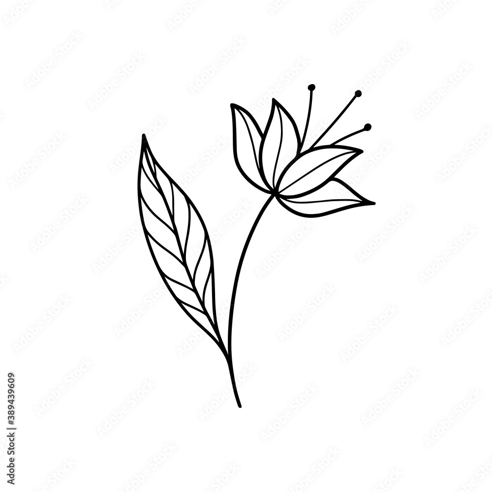 Vector illustration of hand drawn magic Flower isolated on white background. Line art beautiful Flower for crafters and designers. Good for print, cut, t-shirt design, mugs, card.