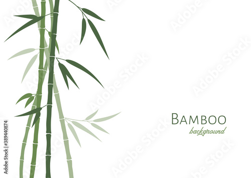 Vector bamboo background with green bamboo stems and leaves. Isolated on white, place for text, copyspace. Oriental art Sumi-e stylization.