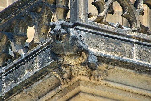 Gargoyle, St. Vitus Cathedral, Prague.