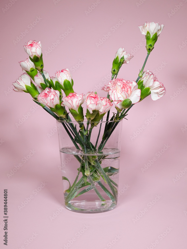 Mini carnation flowers in a vase on pink background Mini carnation flowers in a vase on pink background