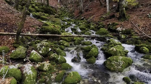 Flying over a beautiful brook in the woods. The river streams in little waterfalls betweenthe rocks covered in green moss. Beside the creek  brown leaves from the beech forest cover the underwood. photo