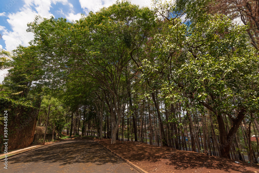 Small famous park of Ribeirao Preto called Pico da Unaerp.
