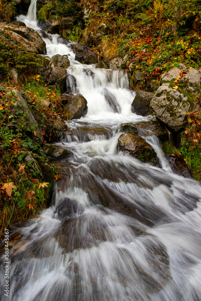 Fototapeta premium Todtnauer Wasserfall im Herbst