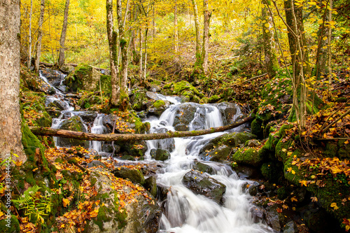 Fototapeta Naklejka Na Ścianę i Meble -  Hauptstufe Todtnauer Wasserfall im Herbst