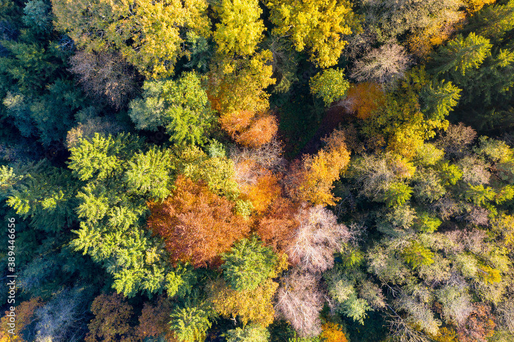 Luftaufnahme: Bayrischer Wald im Herbst Luftaufnahme: Bayrischer Wald im Herbst