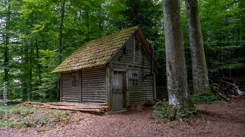 forest cabin in germany,  wangen at öhningen