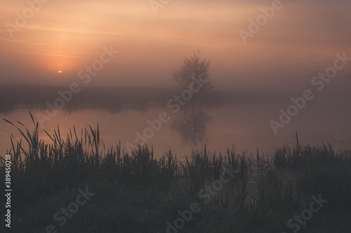 sunrise over the river © Evgenii Ryzhenkov
