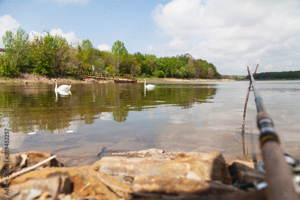 Fototapeta premium Shore of beautiful reservoir