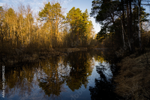 autumn trees reflected in water