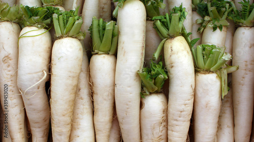 Fresh daikon radish. Daikon root plant. Fresh vegetables, natural products.
