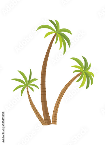 illustration palm tree isolated on white background. Coconut tree. Palm tree. Tourism  travel symbol  sign.