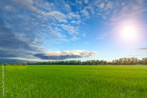 cloudy blue sky with bright sun over a large green field with grass used as a background or texture