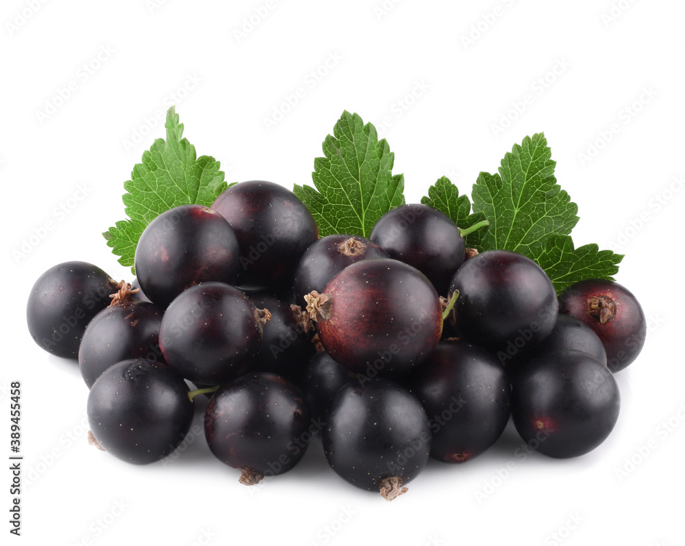 Fototapeta premium Currant berries isolated on white background