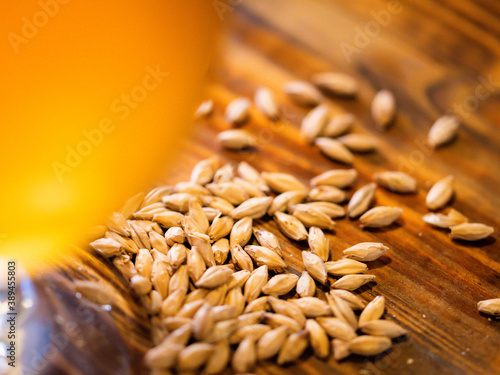 Closeup of beer and Malted Barley Wheat Grain