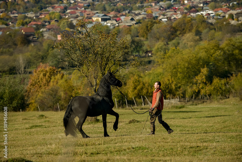 A black horse and a a man on a sunny autumn day.