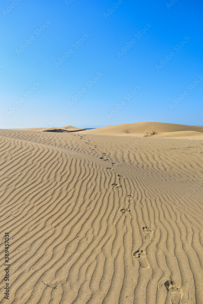 Footprints in the desert sand dunes. Footprints in the desert sand dunes.
