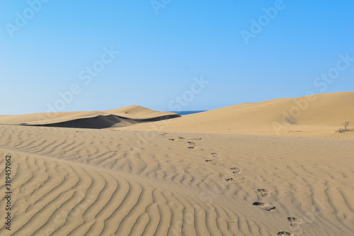 Footprints in the desert sand dunes.