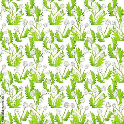 dandelion and green leaves pattern
