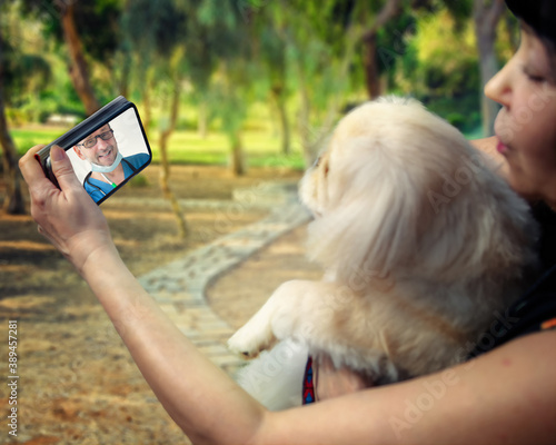 A telemedicine veterinarian appoints a meeting at his clinic for further diagnostics for a Pekingese dog. Blurred outdoor shot except for a smartphone.