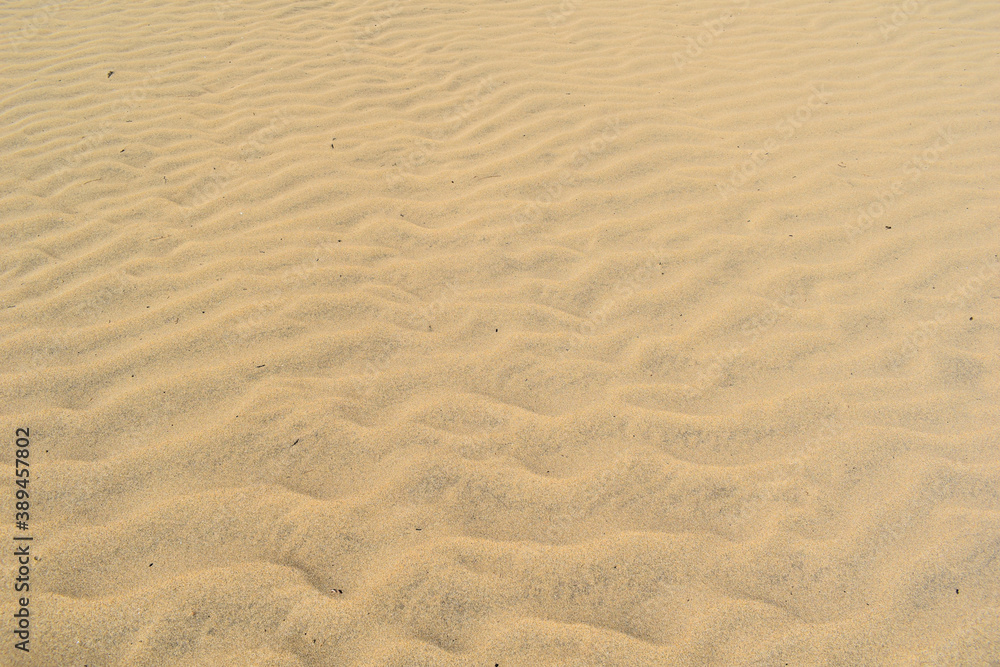 Textured orange desert sand background. Textured orange desert sand background.