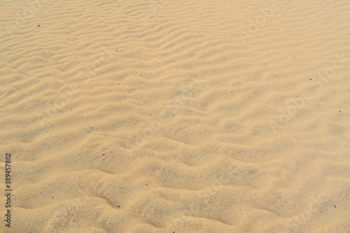 Textured orange desert sand background. © Andrea