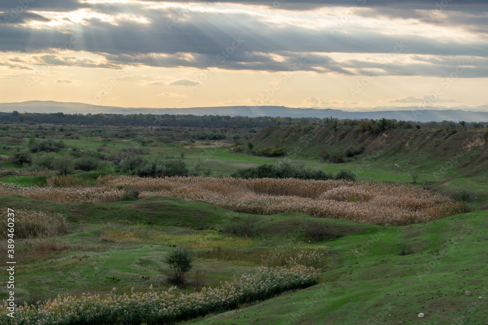 Fototapeta premium Road with dark reeds in autumn
