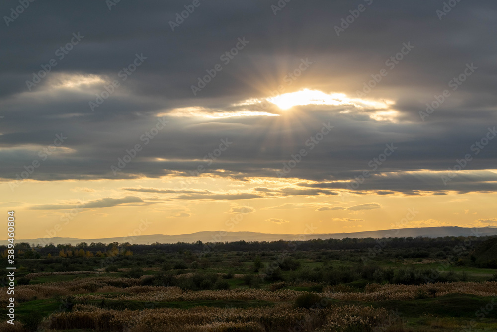 Obraz premium Road with dark reeds in autumn