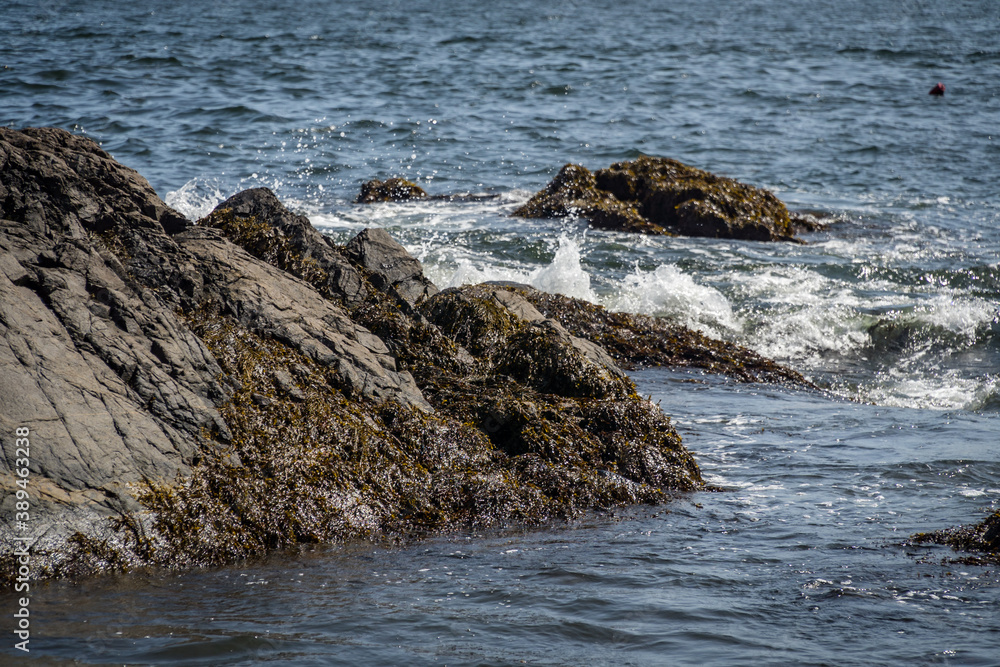 TidePool