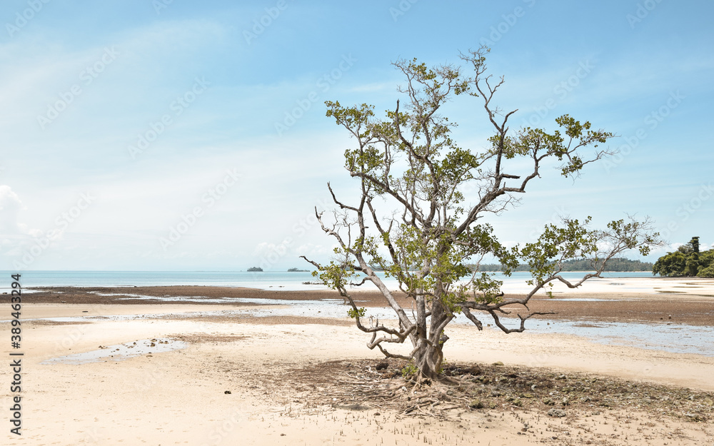 Koh Mak beach