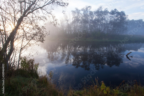 A summery misty morning by a calm river in Estonia  Northern Europe. 