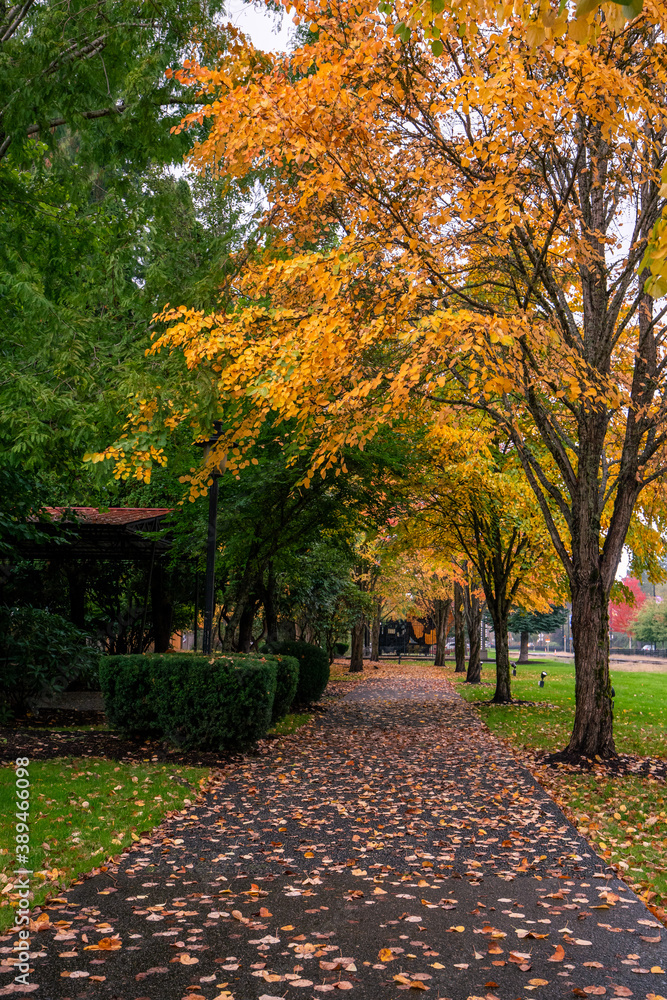 Fototapeta premium Snoqualmie WA. - USA: Centennial Path at Northern Pacific Depot