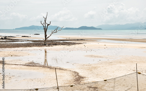 Koh Mak beach
