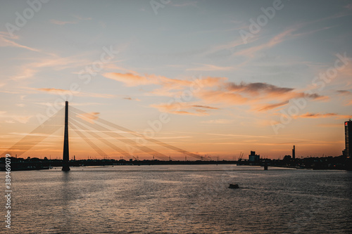 bridge over the river