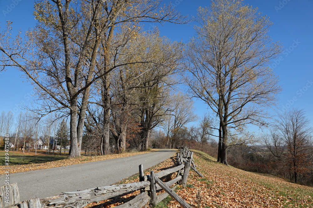 Fototapeta premium Country road with wooden fence