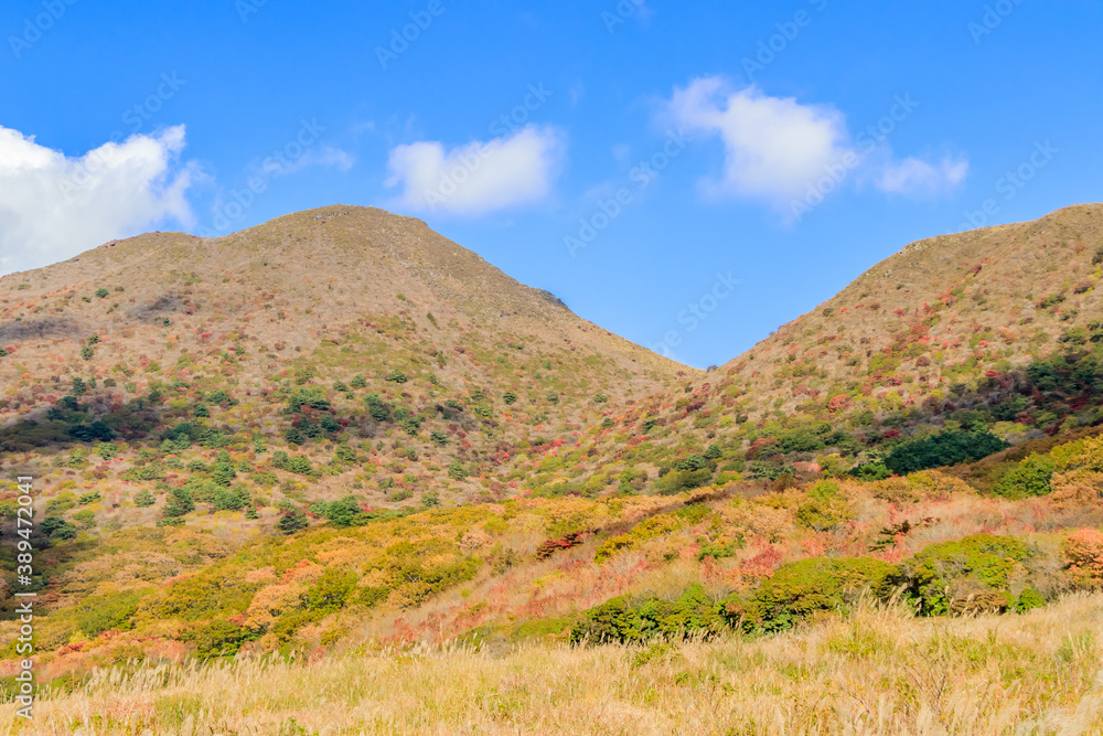 坊ガツルから見た平治岳(秋) 大分県玖珠郡 Mt.Hiizidake seen from Bougatsuru (autumn) Ooita-ken Kusu-gun 坊ガツルから見た平治岳(秋) 大分県玖珠郡 Mt.Hiizidake seen from Bougatsuru (autumn) Ooita-ken Kusu-gun