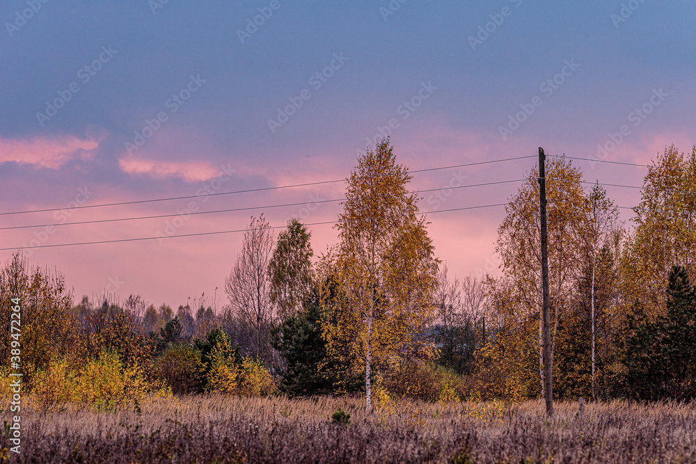 Evening sunset near the forest Evening sunset near the forest