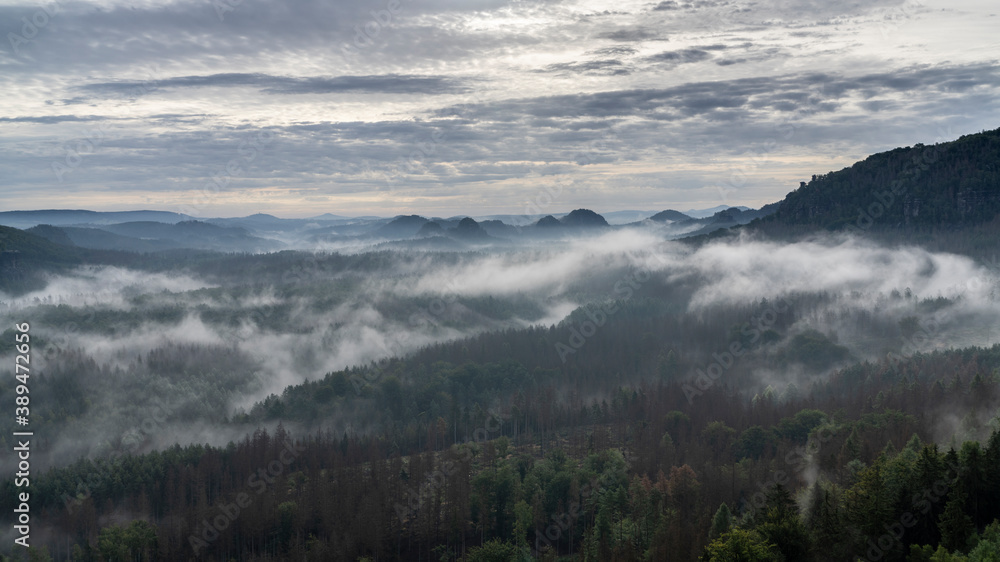 Panoramablick in den Morgenstunden von den Affensteinen zum Kleinen Winterberg. Die Sonne schickt ihre ersten wärmenden Strahlen durch den dichten Nebel in die Bergwelt des Nationalparkes.