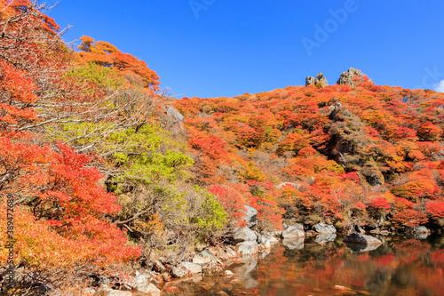 紅葉と御池 大船山 大分県玖珠郡 Autumn leaves and Oike Mt.Daisenzan Ooita-ken Kusu-gun