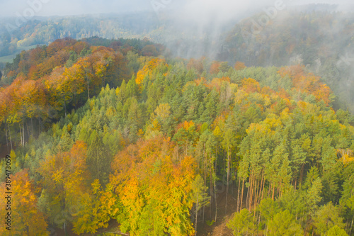 Aerial view on the colorful autumn or fall fir or foliage forest covered by clouds