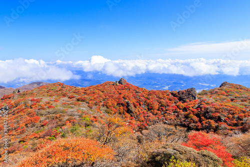                                                     Autumn leaves and Oike Mt.Daisenzan Ooita-ken Kusu-gun