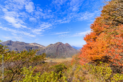 大船山登山道からみた三俣山と紅葉 くじゅう連山 大分県玖珠郡 Mt.Mimatayama and Autumn leaves senn from Mt.Daisenzan Trail Kujuurenzan Ooita-ken Kusu-gun