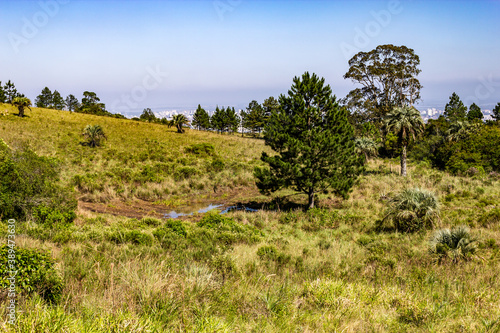 Vegetation and Porto Alegre cityview from Morro Santana